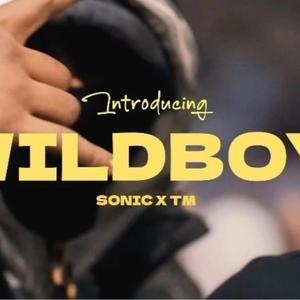 Wildboy (feat. Troublemaker)
