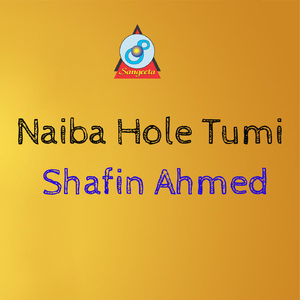 Naiba Hole Tumi