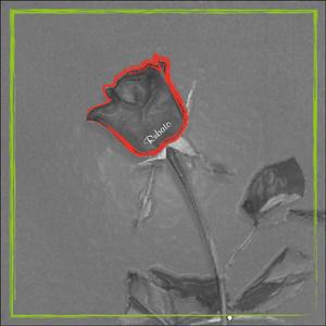 청춘, 그 아름다운 날들