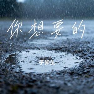 你想要的 (子弹头 Remix)