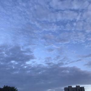 ころしちゃった!（杀掉她啦）琵琶翻奏