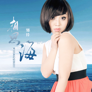 相思海 (DJ何鹏版)