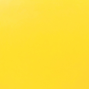 mimosa (LIVE at acoustic house 'otonari', 2023)