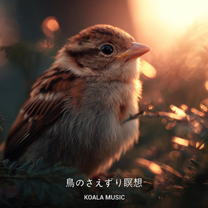 瞑想に最適な鳥のさえずりと静かな自然の音, Pt.2
