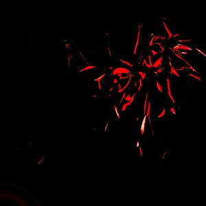 シテアレルギー