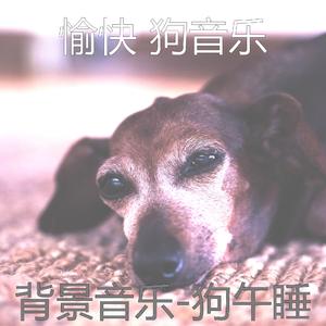 睡觉的小狗(像梦一样)