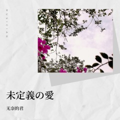 未定义的爱