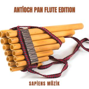 Precipitoso nel mar, Aria from Aci, Galatea e Polifemo Pan Flute Edition