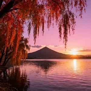 不只是场梦 (Cover 李玖哲)