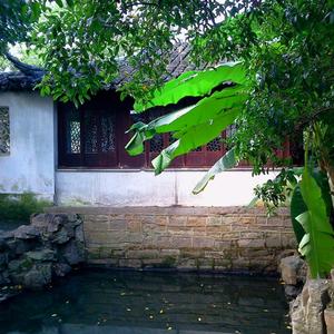 初遇的美好时光（钢琴）-电视剧《今生有你》背景音乐