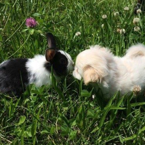 厌食是美丽的，肮脏是你的婚纱