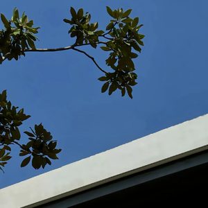 喜欢周末因为能和你见面（加速版）