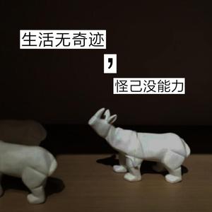 生活无奇迹，怪己没能力