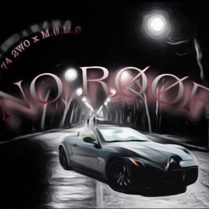 NO RØØF