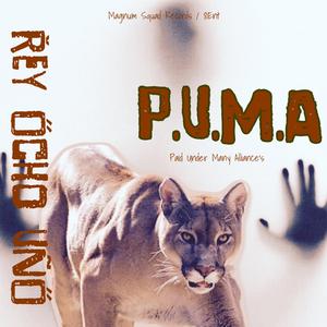 P.U.M.A (instrumental)