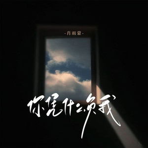 你凭什么负我
