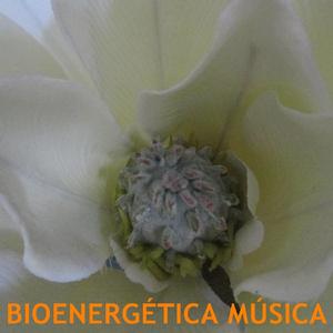 Bioenergética Música