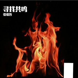 寻找共鸣