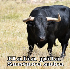 Halia Pila