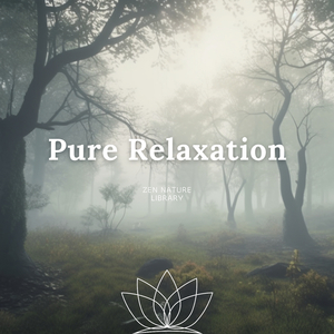 432 Hz Amavasya (First Phase)