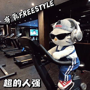 有氧FREESTYLE