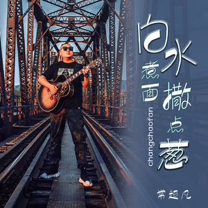 白水煮面撒点葱