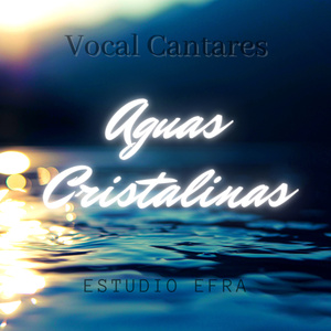 Homenaje