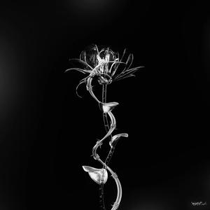 偷走心动2.0（心碎版）