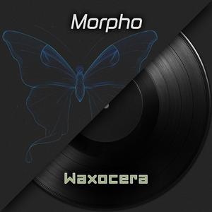 Morpho (Blue Morphos)