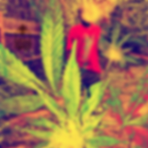 Ice Ma Teeth (feat. Elijah Waan)