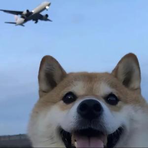 回忆下水道DEMO（Prod.4RealBeatz）