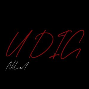 挖（U DIG） Prod By FireX