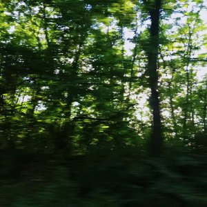 梦见阳光