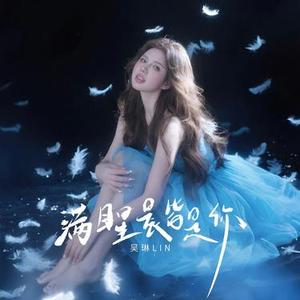 满目星辰皆是你