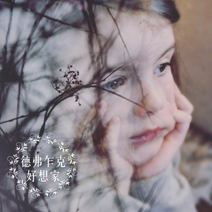 F大调第十二号四重奏美国，作品 Op.96，第一乐章：不太过份地急速