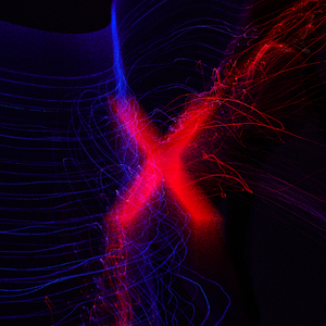 Mauersegler (Kaiser Souzai Remix)