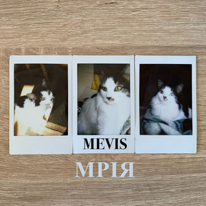 Мрія