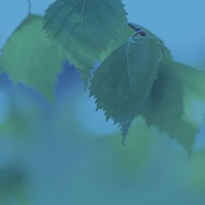 抚慰的泰式按摩回忆