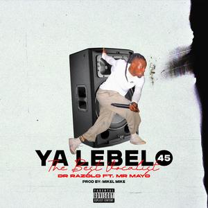 Ya lebelo 45