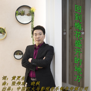 回到梅花盛开的地方