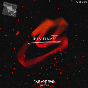 Up In Flames