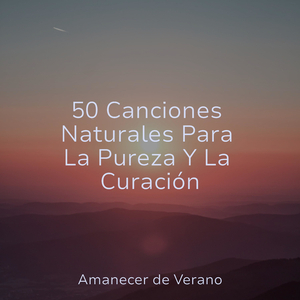 Elegancia Fluida Desplegándose