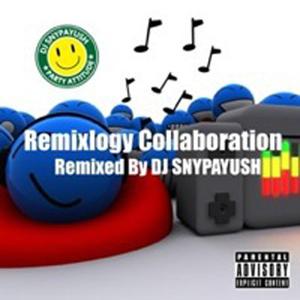 Jump up and Down (DJ Snypayush Remix) [feat. Inaya Day & Mark Shine]