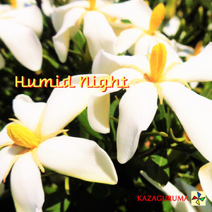 Humid Night