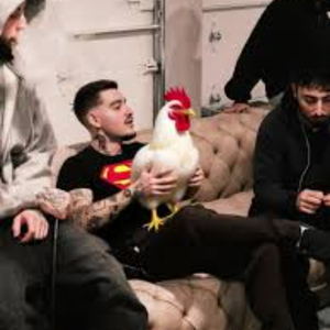super chicken