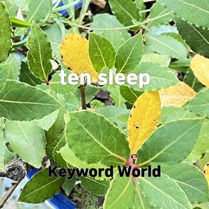 ten sleep