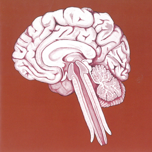 Alive. (Instrumental)