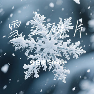 雪之碎片