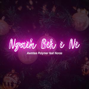 Ngaih Bik i Ni (feat. Awmtea Polymer)