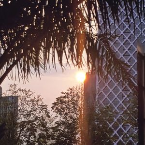 若许一个愿望少活十年，我许十个